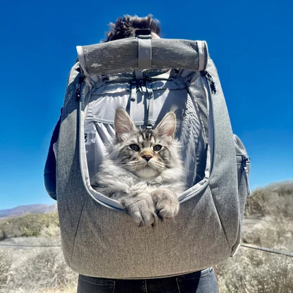Travel Cat The Navigator Convertible Cat Backpack