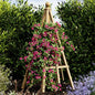 Vita Obelisk Trellis, 2-pack