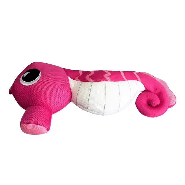 Pool Buddies Float