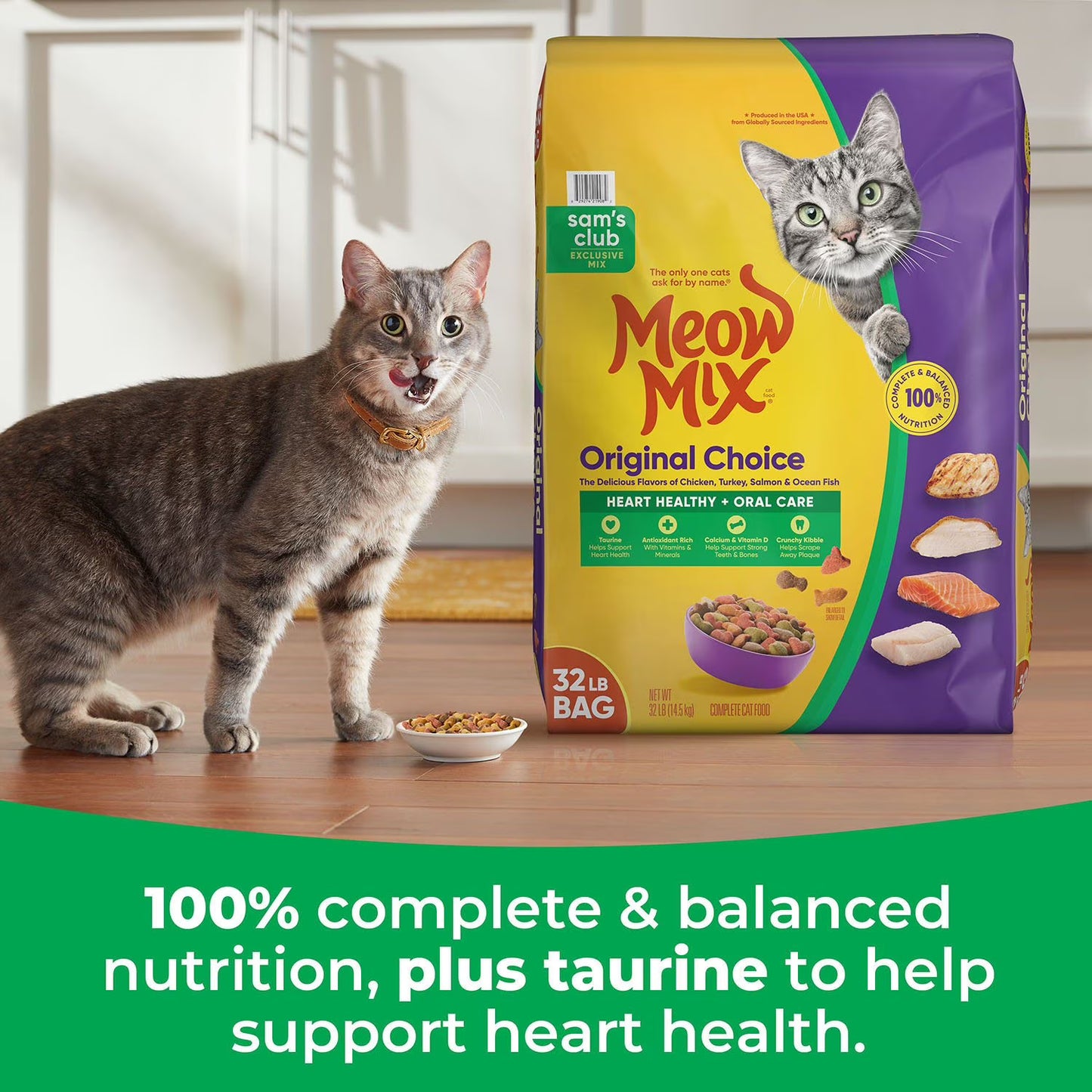 Original Choice Flavor Adult Dry Cat Food