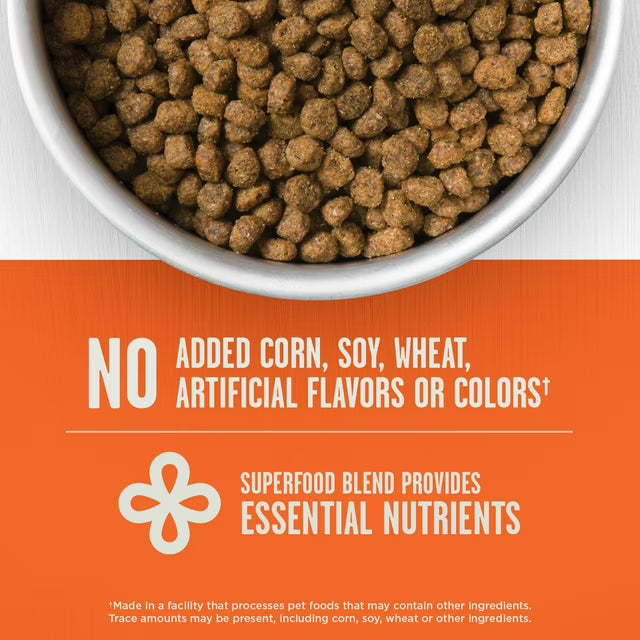 Prime Feast with Chicken + Salmon Dry Cat Food, 25 lbs.