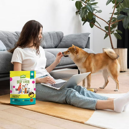 Raw Bits Freeze-Dried Beef Liver Dog + Cat Treats, 17 oz.