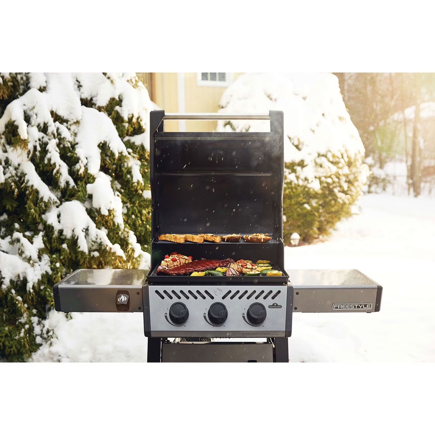 Freestyle 365 Propane Gas Grill