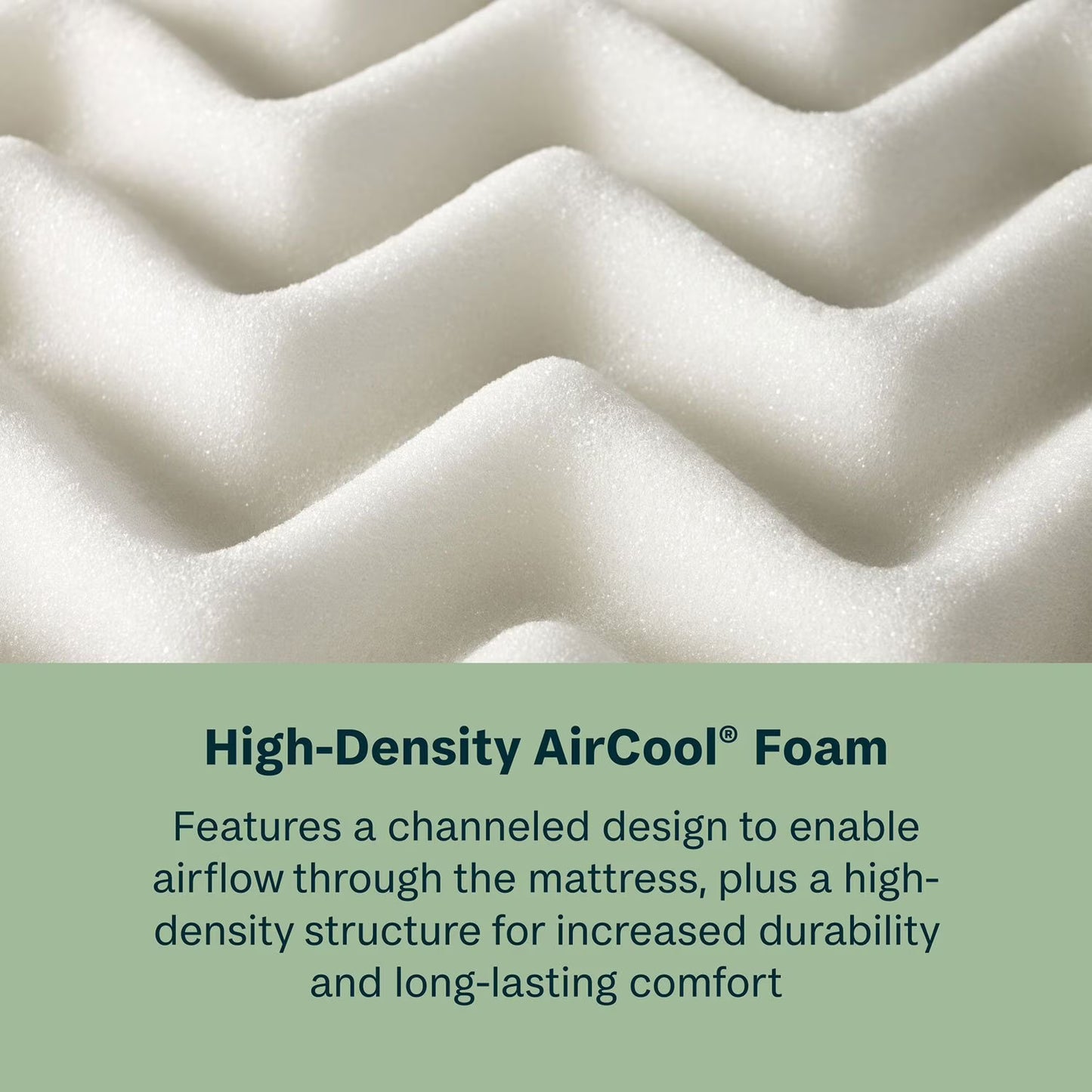 Maricopa 10" Firm Memory Foam Mattress