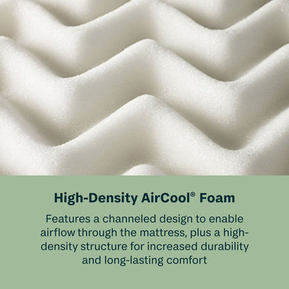 Maricopa 10" Firm Memory Foam Mattress