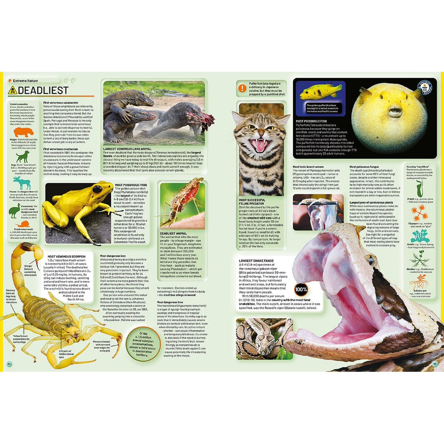 Guinness World Records 2026, Hardcover