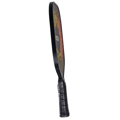 Lifetime Pickleball Paddle