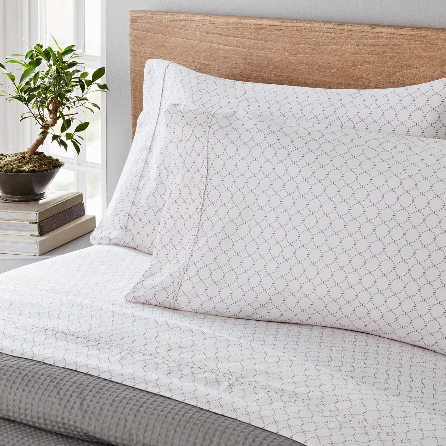 300-Thread-Count 100% Organic Cotton Printed Sheet Set, Assorted Sizes