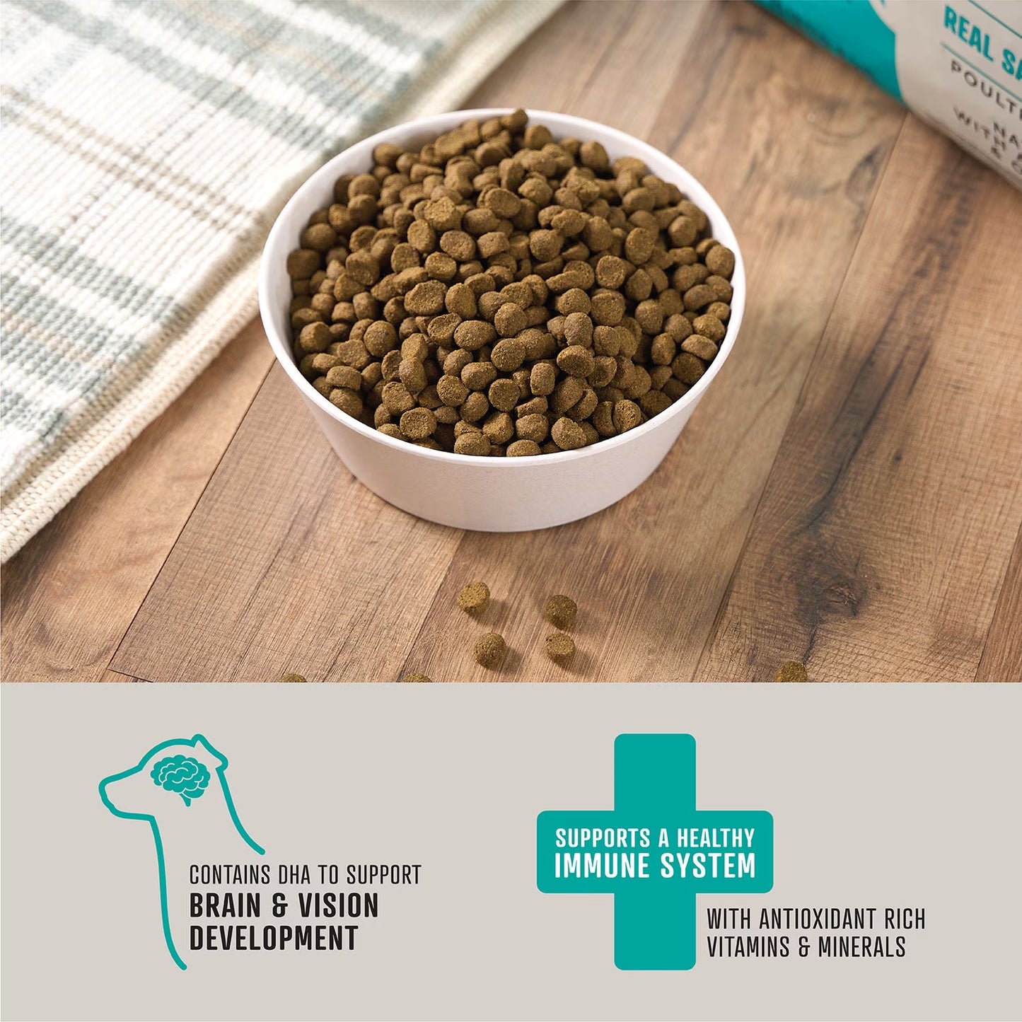 Grain Free Salmon and Sweet Potato Dry Dog Food, 30 lbs.