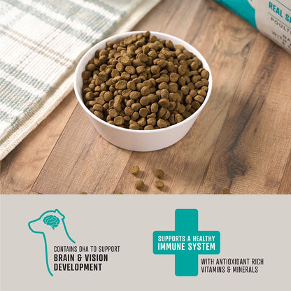 Grain Free Salmon and Sweet Potato Dry Dog Food, 30 lbs.
