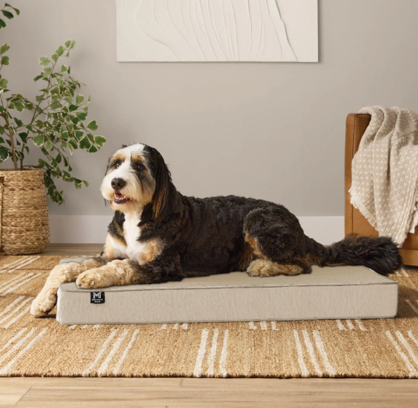 Lounger Pet Bed, 30"x40", Choose Color