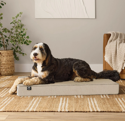 Lounger Pet Bed, 30"x40", Choose Color