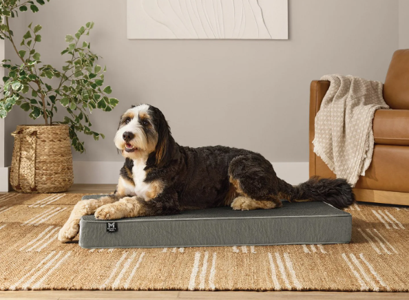 Lounger Pet Bed, 30"x40", Choose Color