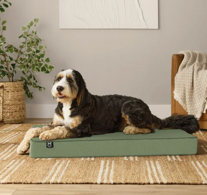 Lounger Pet Bed, 30"x40", Choose Color