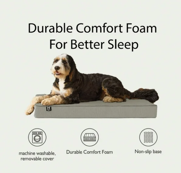Lounger Pet Bed, 30"x40", Choose Color