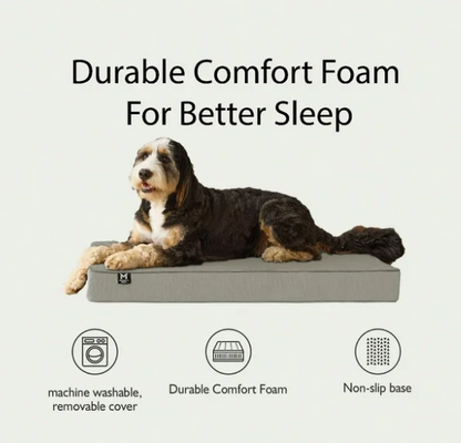 Lounger Pet Bed, 30"x40", Choose Color