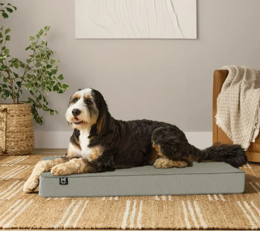 Lounger Pet Bed, 30"x40", Choose Color
