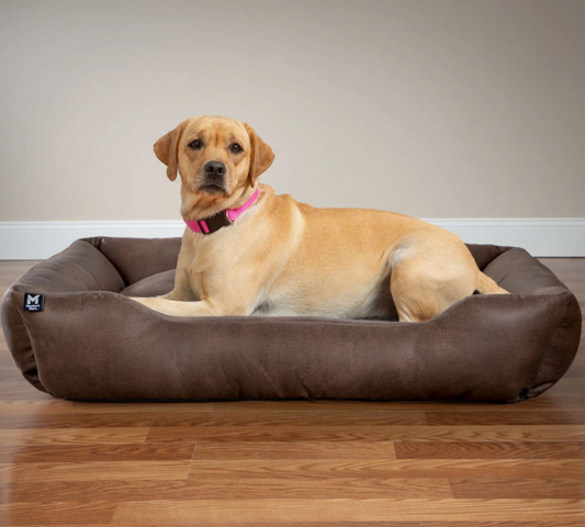 Premium Cuddler Pet Bed, Assorted Sizes, Colors and Patterns