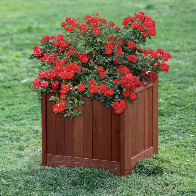 Tioman Natural Hardwood Flower Box