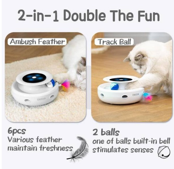 2in1 Interactive Cat Toy