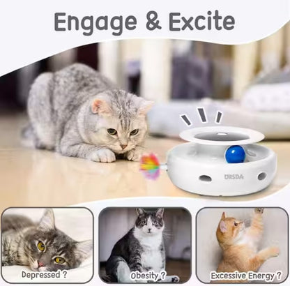 2in1 Interactive Cat Toy