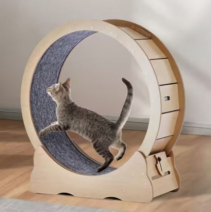 Cat Exercise Wheel, 35.8 in