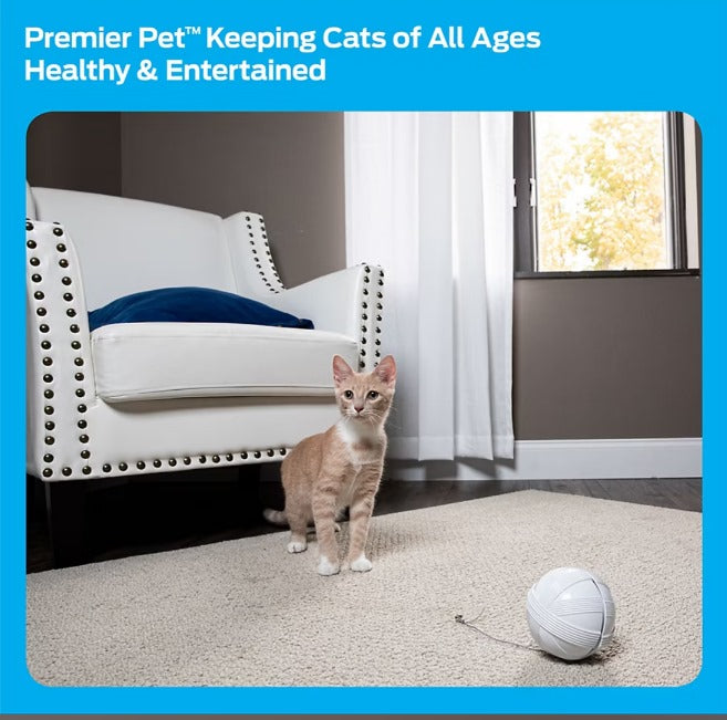 Zip Automatic Laser Cat Toy