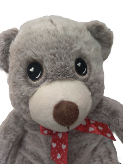 Teddy Bear Plush Soft Toy