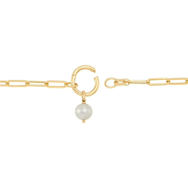 Cultured Pearl Charm Paperclip Bracelet in 14K Gold
