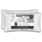 2-Pack Hotel Premier Collection Down Alternative Bed Pillows