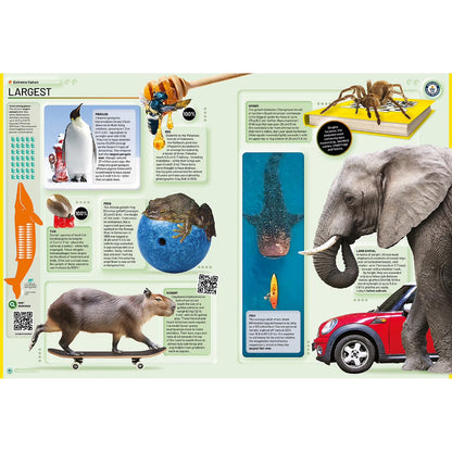 Guinness World Records 2026, Hardcover