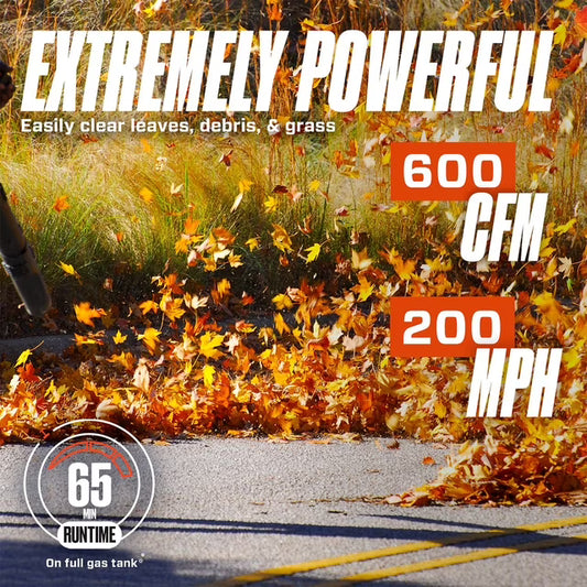 SENIX 4QL® 49cc 4-Cycle Gas Backpack Leaf Blower