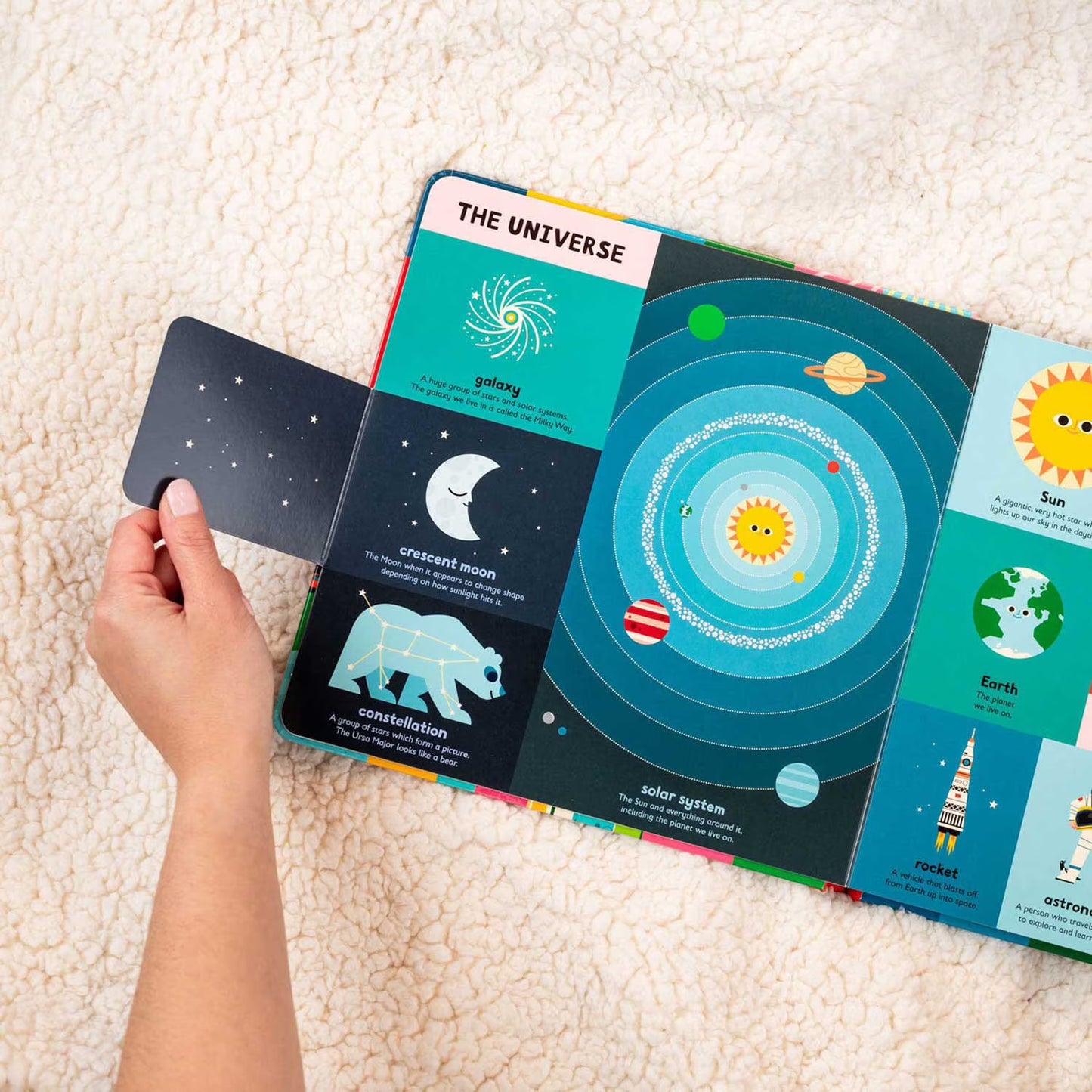 My First Book of Everything, Board Book