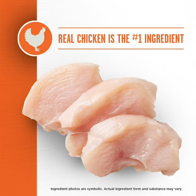 Prime Feast with Chicken + Salmon Dry Cat Food, 25 lbs.