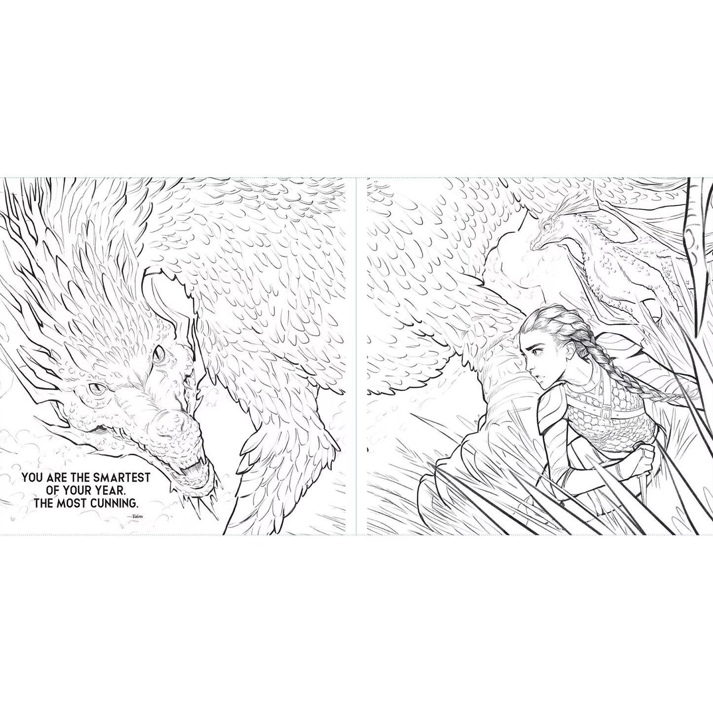 Fourth Wing: The Official Coloring Book, Paperback