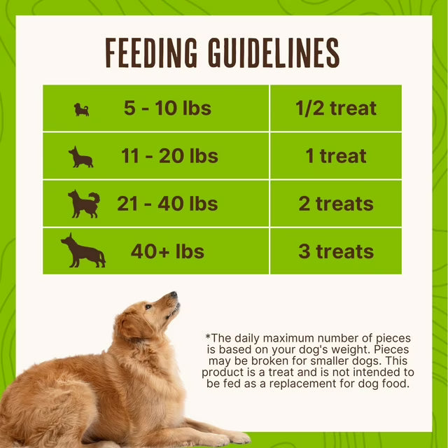 Chicken Jerky Dog Treats, 36 oz.