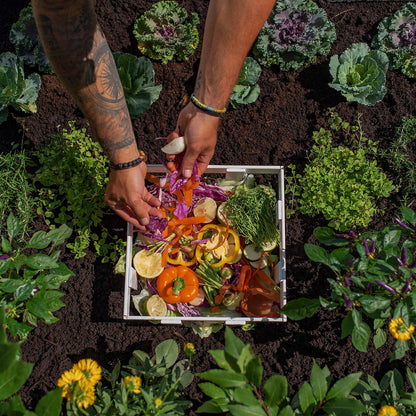 Composting Garden Bed