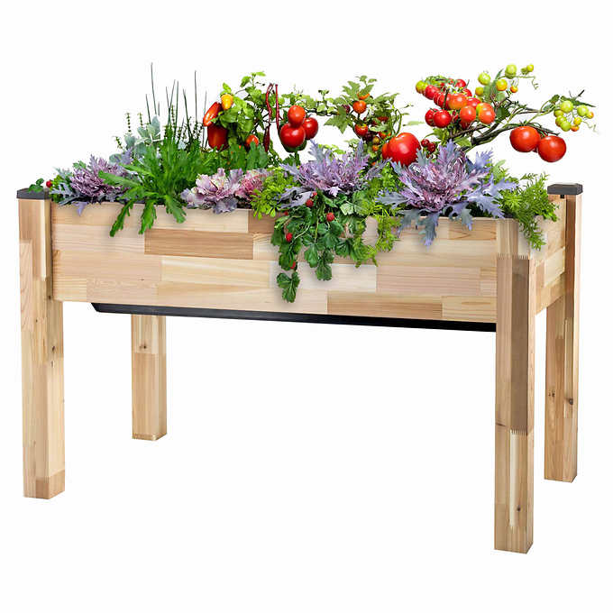 self watering cedar planter Self-Watering Elevated Cedar Planter with Greenhouse and Bug Cover – Marthas Collections