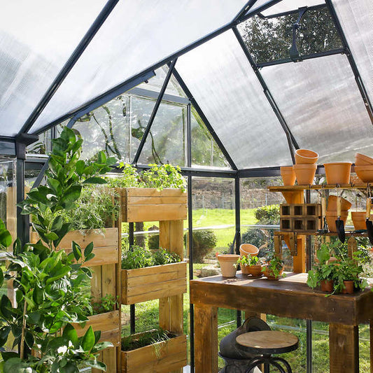 Palram Canopia Victory Orangery 10'x12' Greenhouse and Solarium w/Auto Vent Kit
