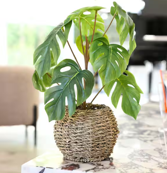 15 "H Artificial Split Leaf in 6" Basket 6X6X4. 25