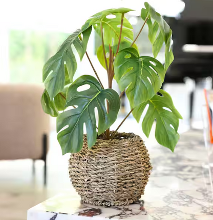 15 "H Artificial Split Leaf in 6" Basket 6X6X4. 25