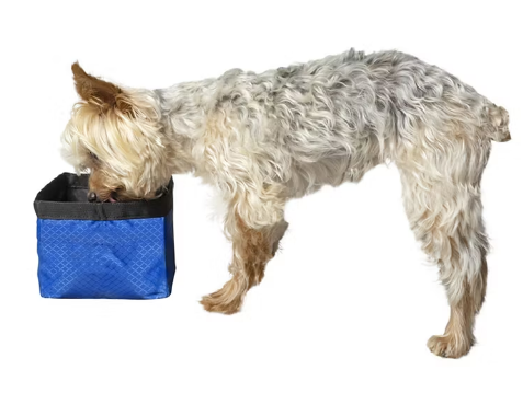 Pet Travel Bowl, 50 oz.