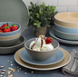 16-Piece Assorted Double Bowl Stoneware Dinnerware Set