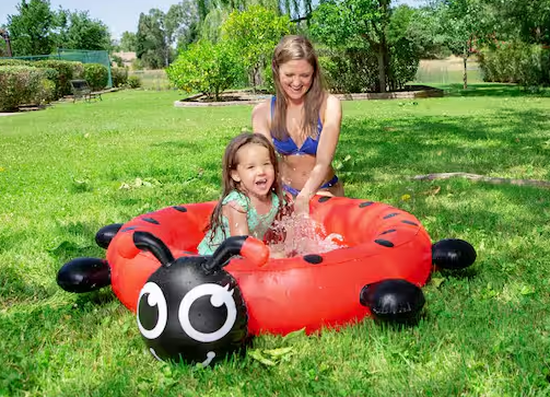 Ladybug 37 in. Dia Circle 7.5 in. Deep Kiddie Swimming Pool