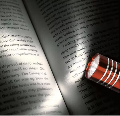 60 Lumens Aluminum Flashlight (8-Pack)