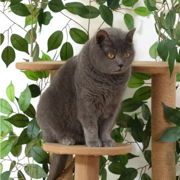 Cat Tree Tower Condo with Scratching Posts