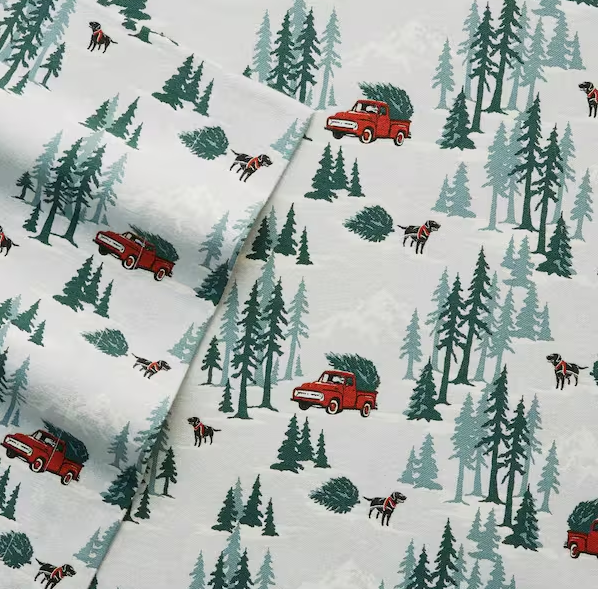 Graphic Flannel Sheet Set