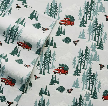 Graphic Flannel Sheet Set