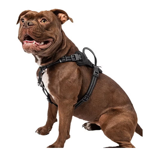 Pet No Pull Comfort Harness - Medium