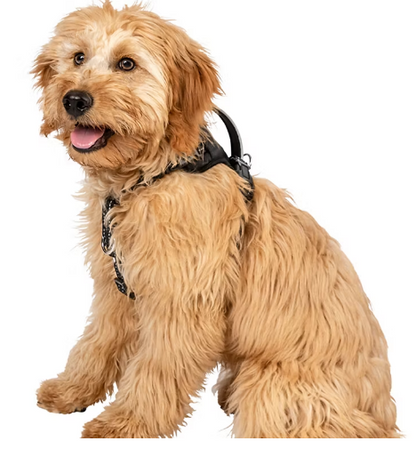 Pet No Pull Comfort Harness - Small